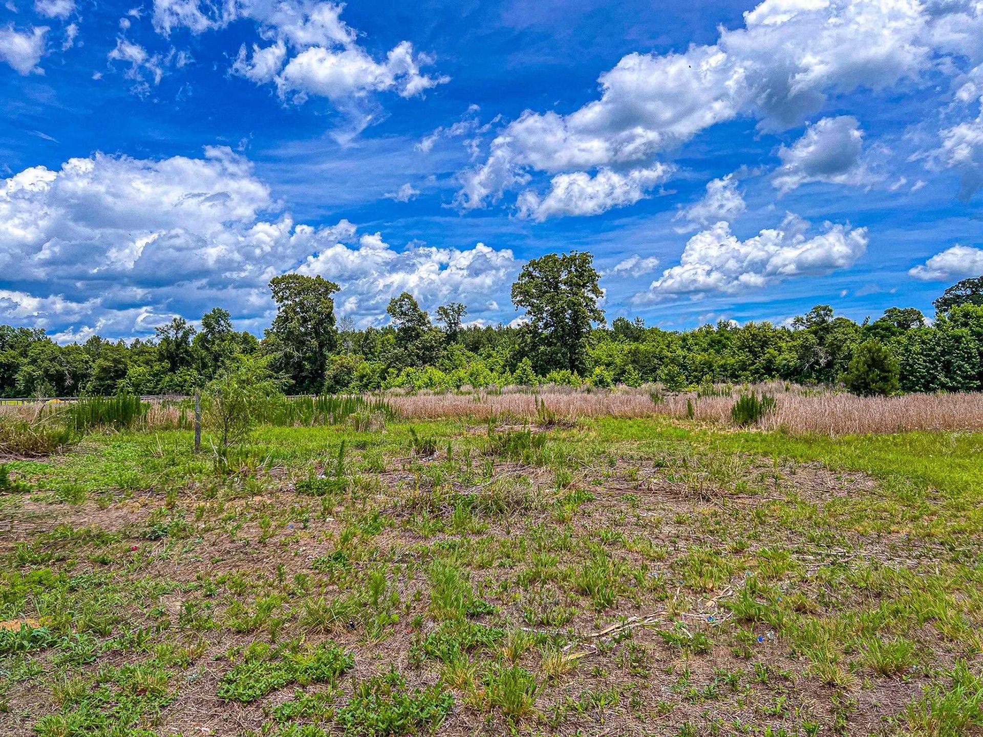 176 Old Flowers Rd.  Photo 48