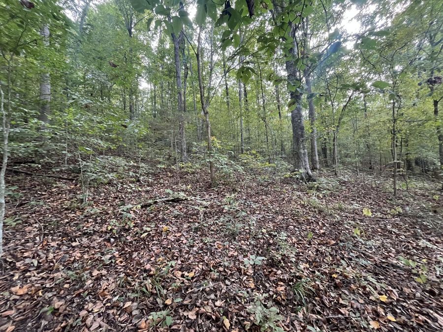 Property Image 35