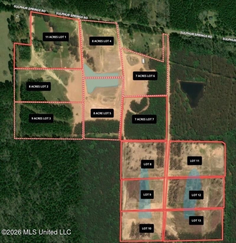 Lot 9 Sulphur Springs Road, Canton, MS 39046 Main Photo