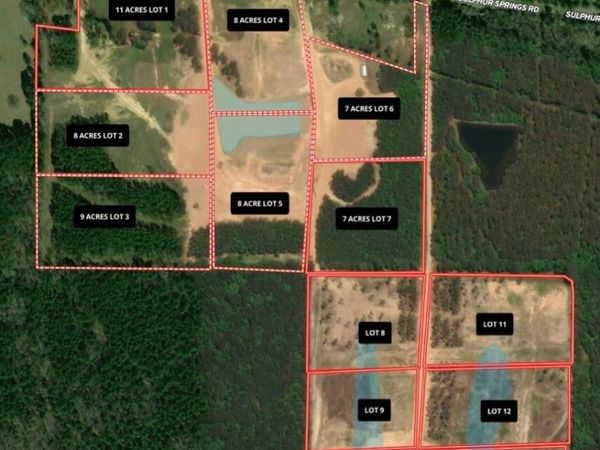 Lot 9 Sulphur Springs Road, Canton, MS 39046