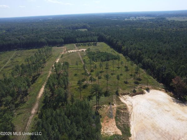 Lot 10 Sulphur Springs Road, Canton, MS 39046