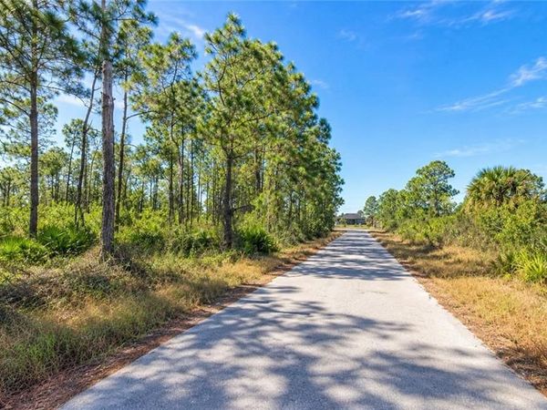 933 Fern ST E, LEHIGH ACRES, FL 33974