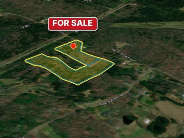 123 MUDDY RIDGE RD, Pocahontas, TN 38061