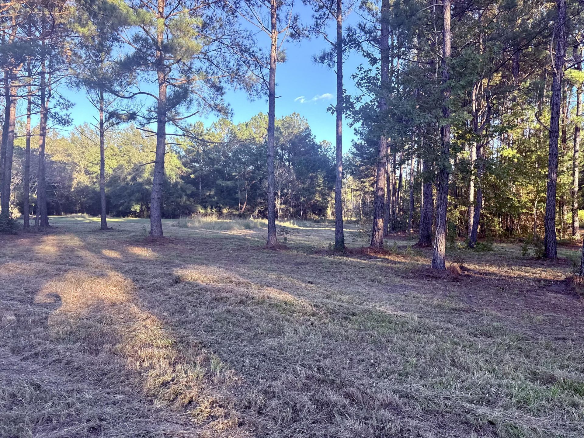 312 Heaven Drive Photo 4