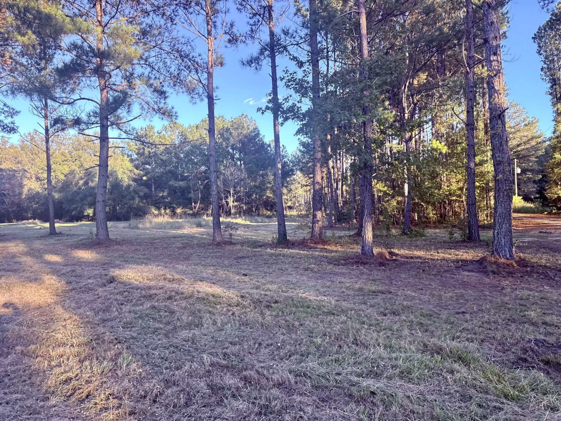 312 Heaven Drive Photo 5