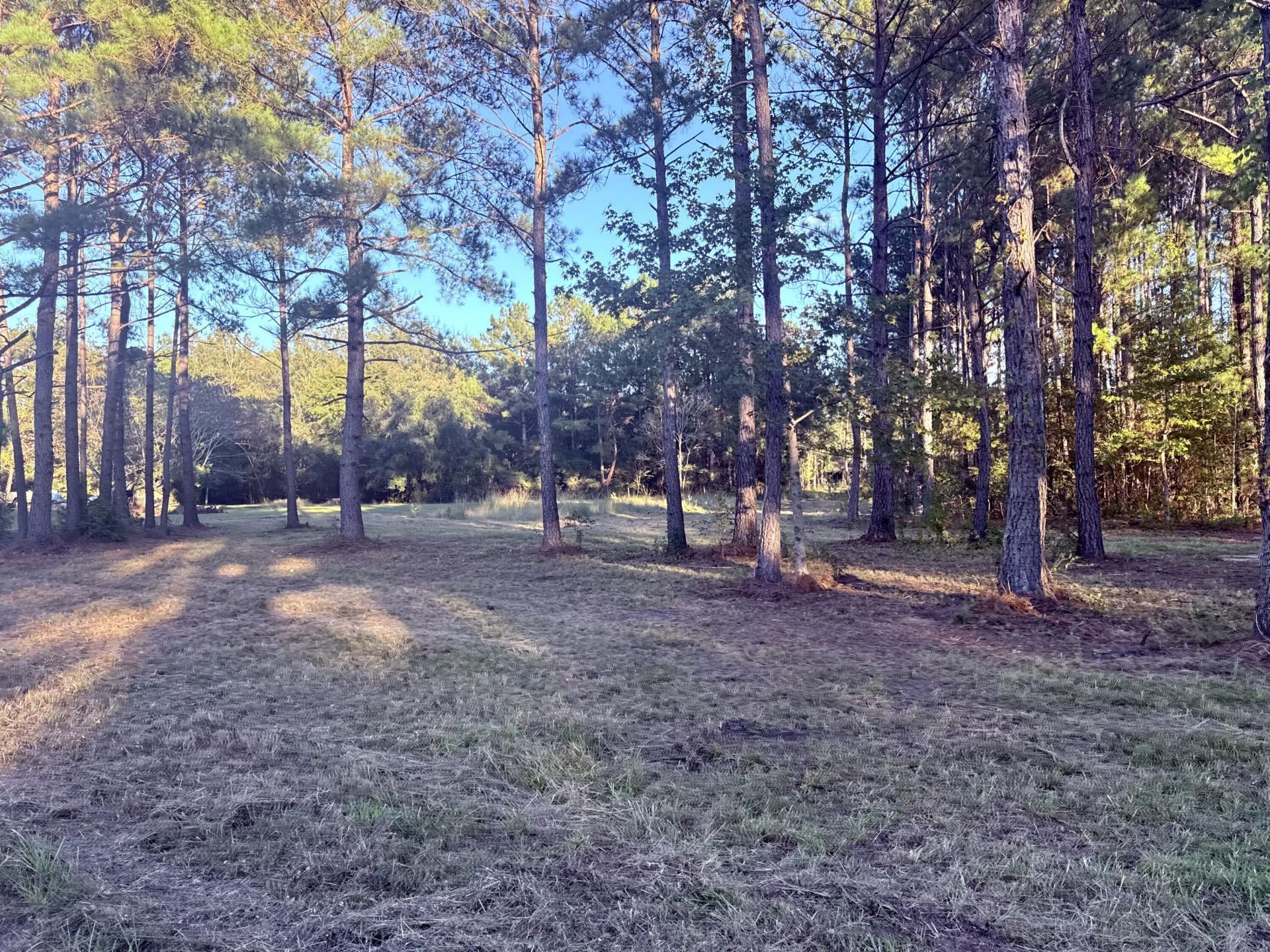 312 Heaven Drive Photo 6