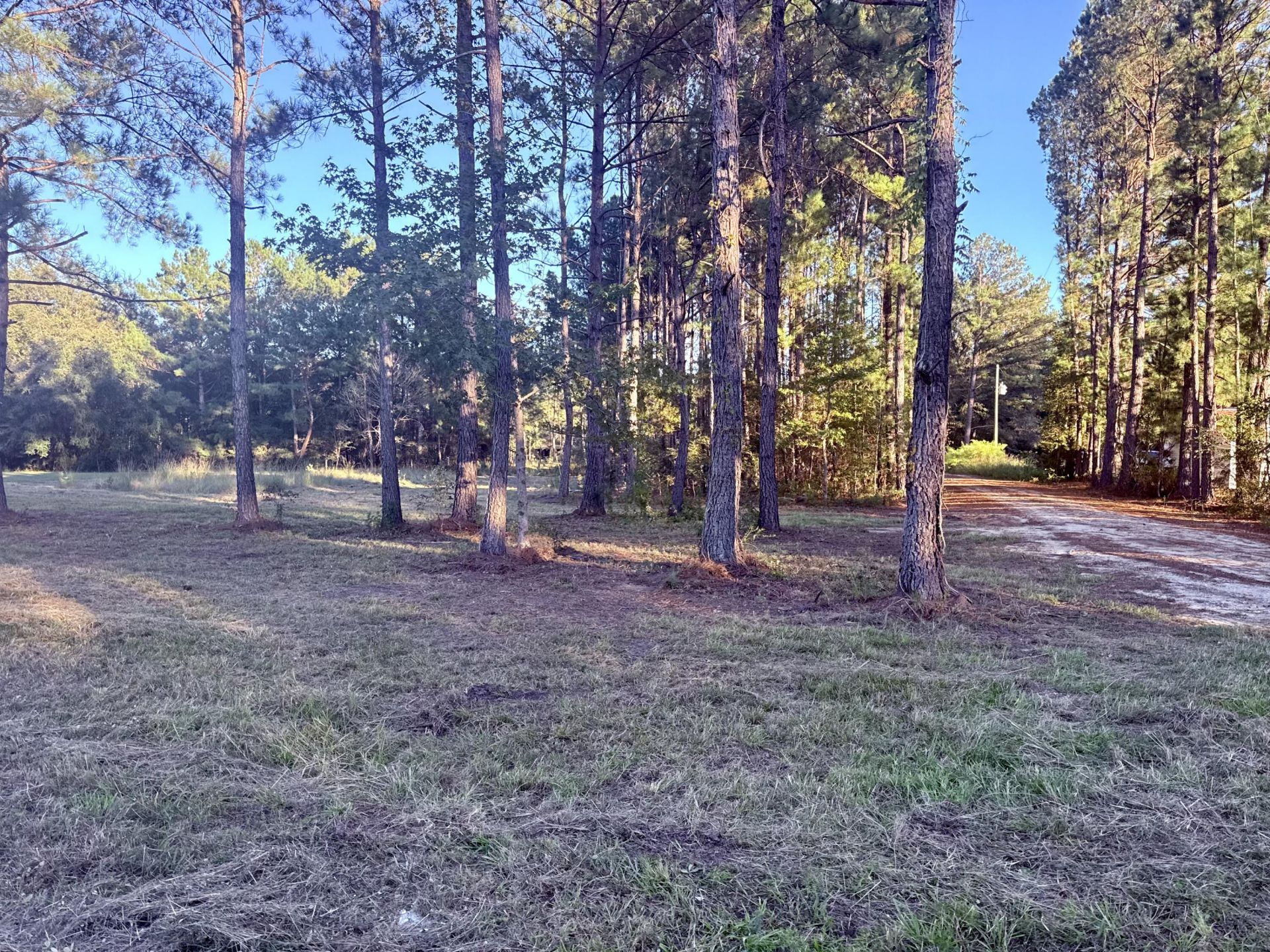 312 Heaven Drive Photo 7