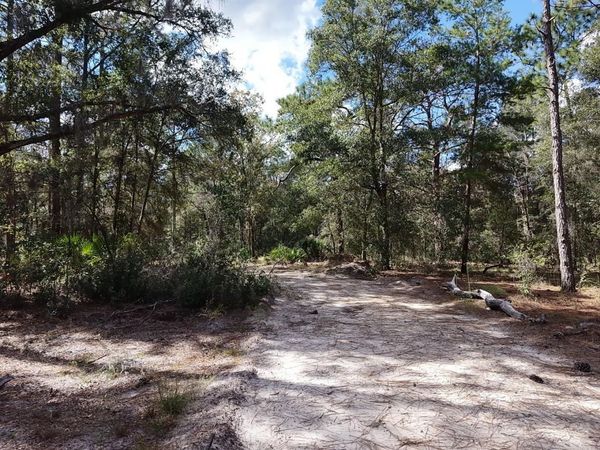 7416 N NATHAN POINT, CRYSTAL RIVER, FL 34428