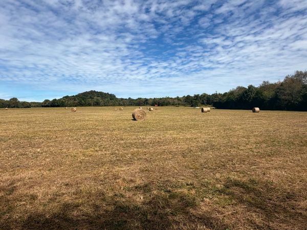 261 Bee Rd , Prospect, TN 38477