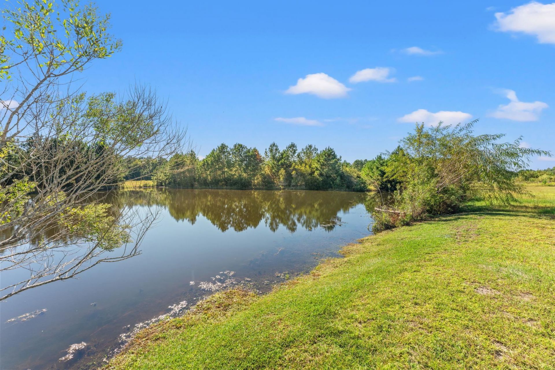 188 Sago Palm Dr.  Photo 32