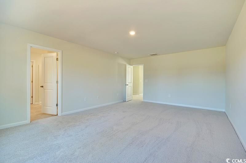 195 Marsh Deer Place  Photo 19