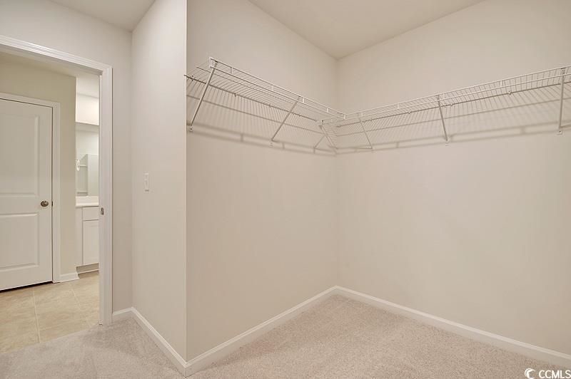 195 Marsh Deer Place  Photo 21