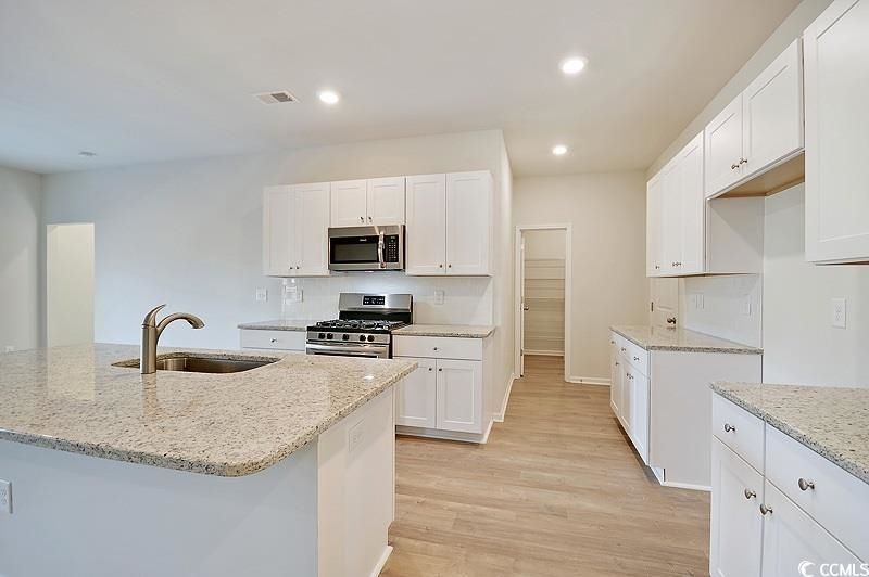 195 Marsh Deer Place  Photo 5