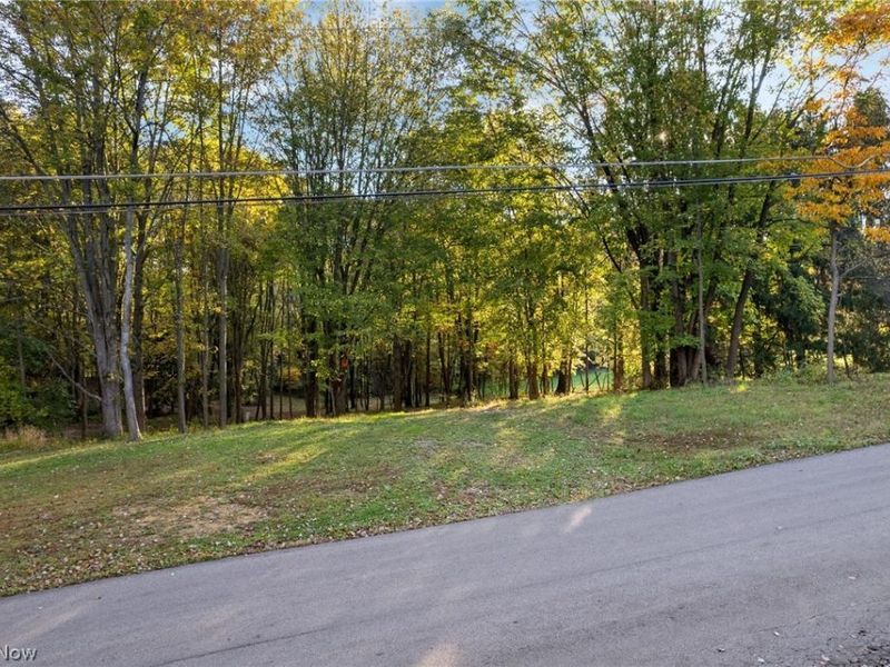 V/L Stoner Road, Clinton, OH 44216 Photo 5