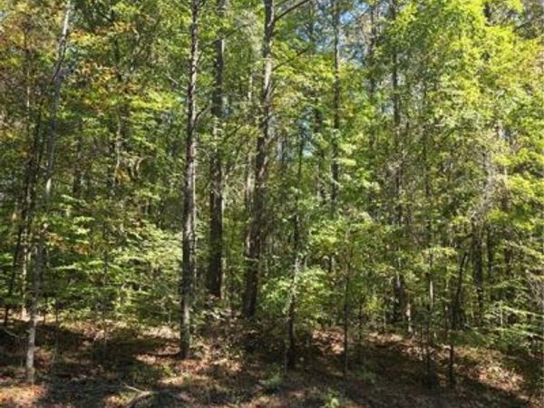 00 Power Dam Road, Walnut Cove, NC 27052