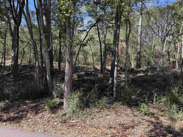 00 Cozy Acres , Mountain Pine, AR 71956