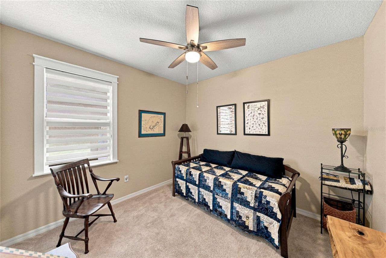 6689 Cobble Bliss Street , Zephyrhills, FL 33541 Photo