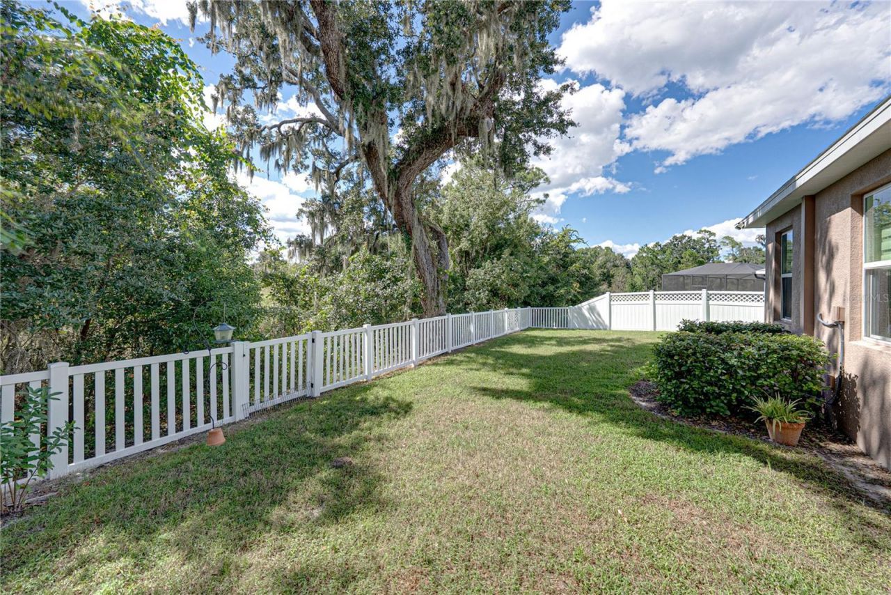 6689 Cobble Bliss Street , Zephyrhills, FL 33541 Photo