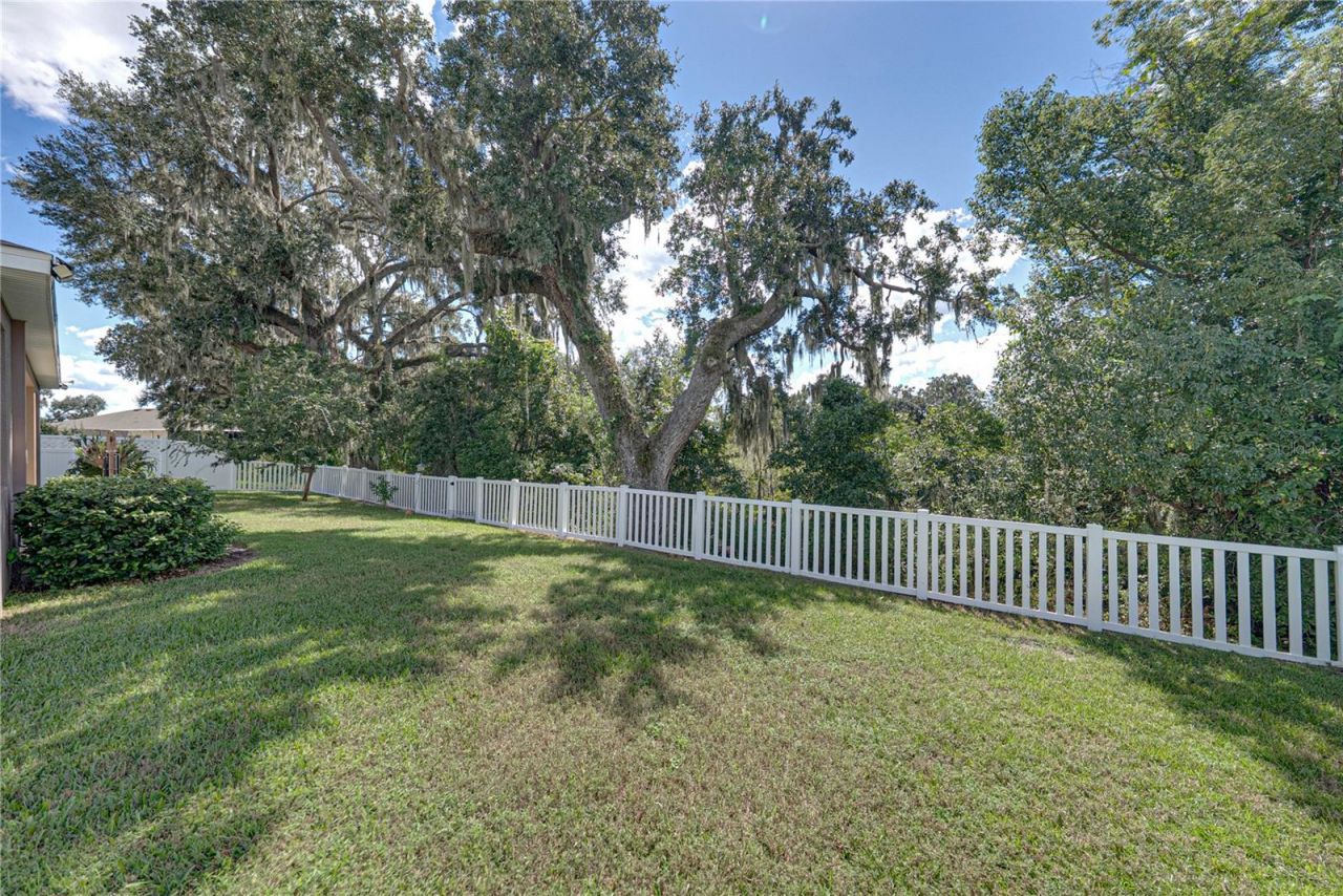 6689 Cobble Bliss Street , Zephyrhills, FL 33541 Photo