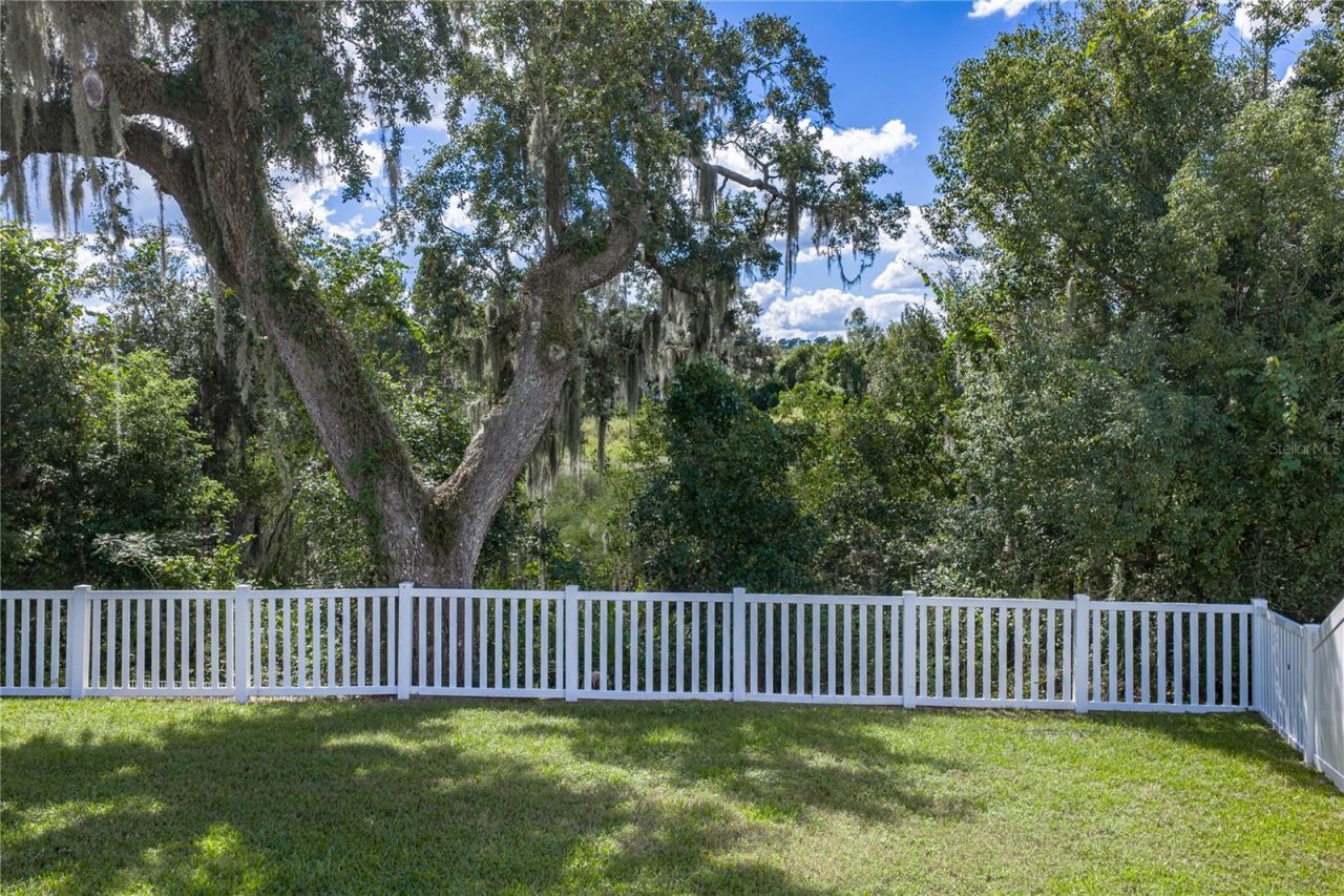 6689 Cobble Bliss Street , Zephyrhills, FL 33541 Photo