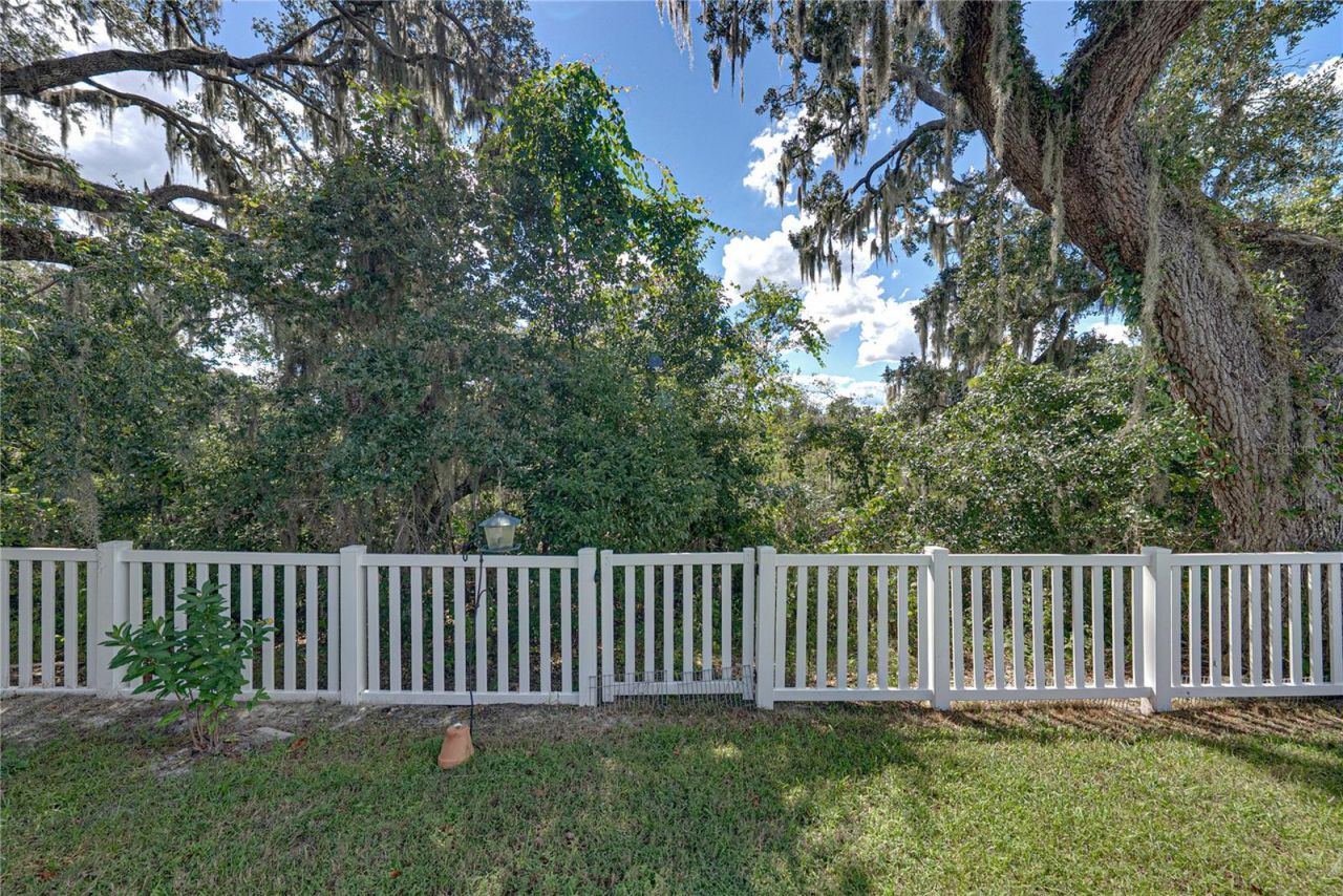 6689 Cobble Bliss Street , Zephyrhills, FL 33541 Photo