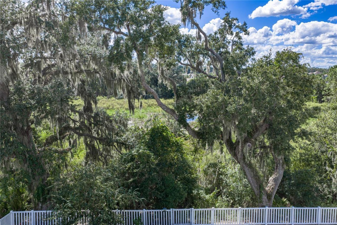 6689 Cobble Bliss Street , Zephyrhills, FL 33541 Photo