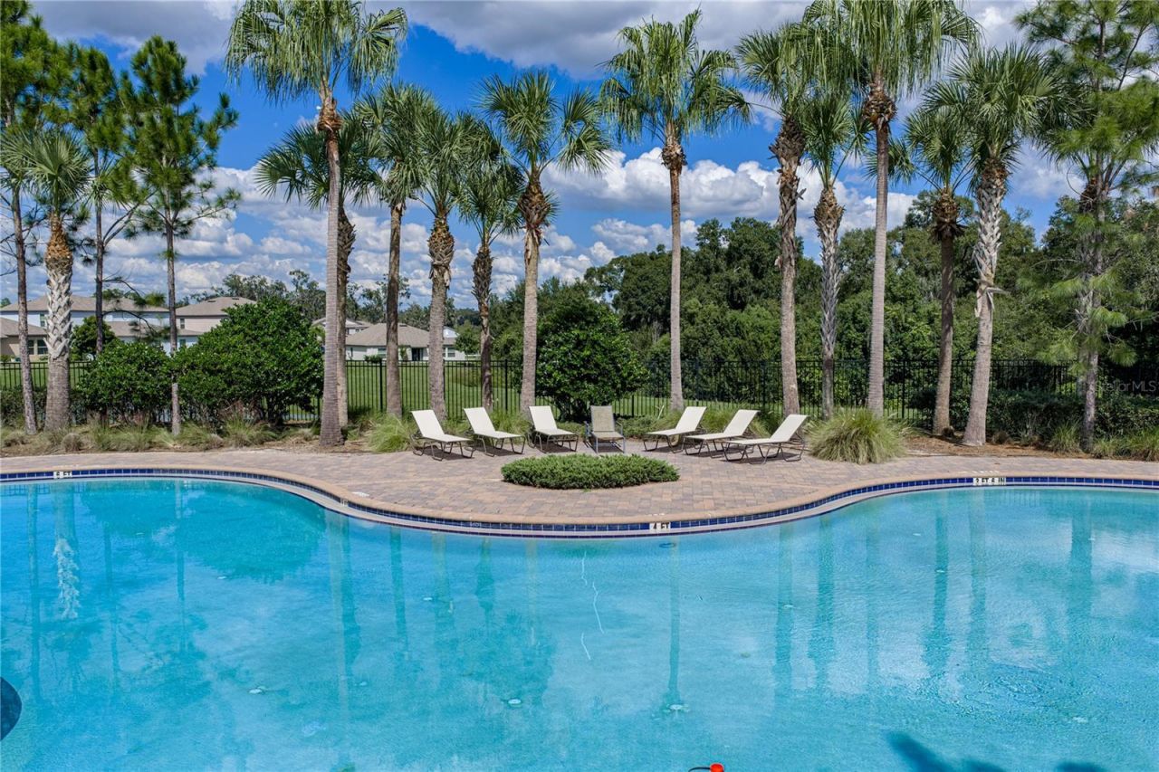 6689 Cobble Bliss Street , Zephyrhills, FL 33541 Photo
