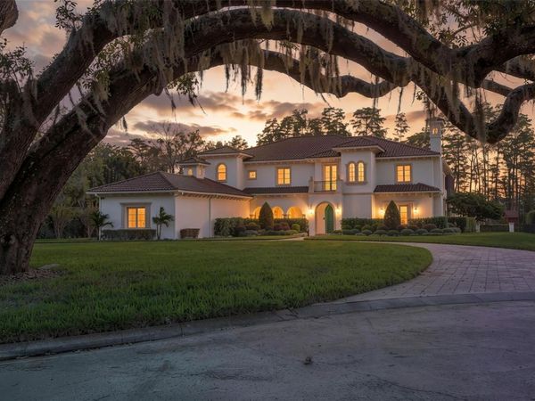16203 SENTRY WOODS COURT , ODESSA, FL 33556