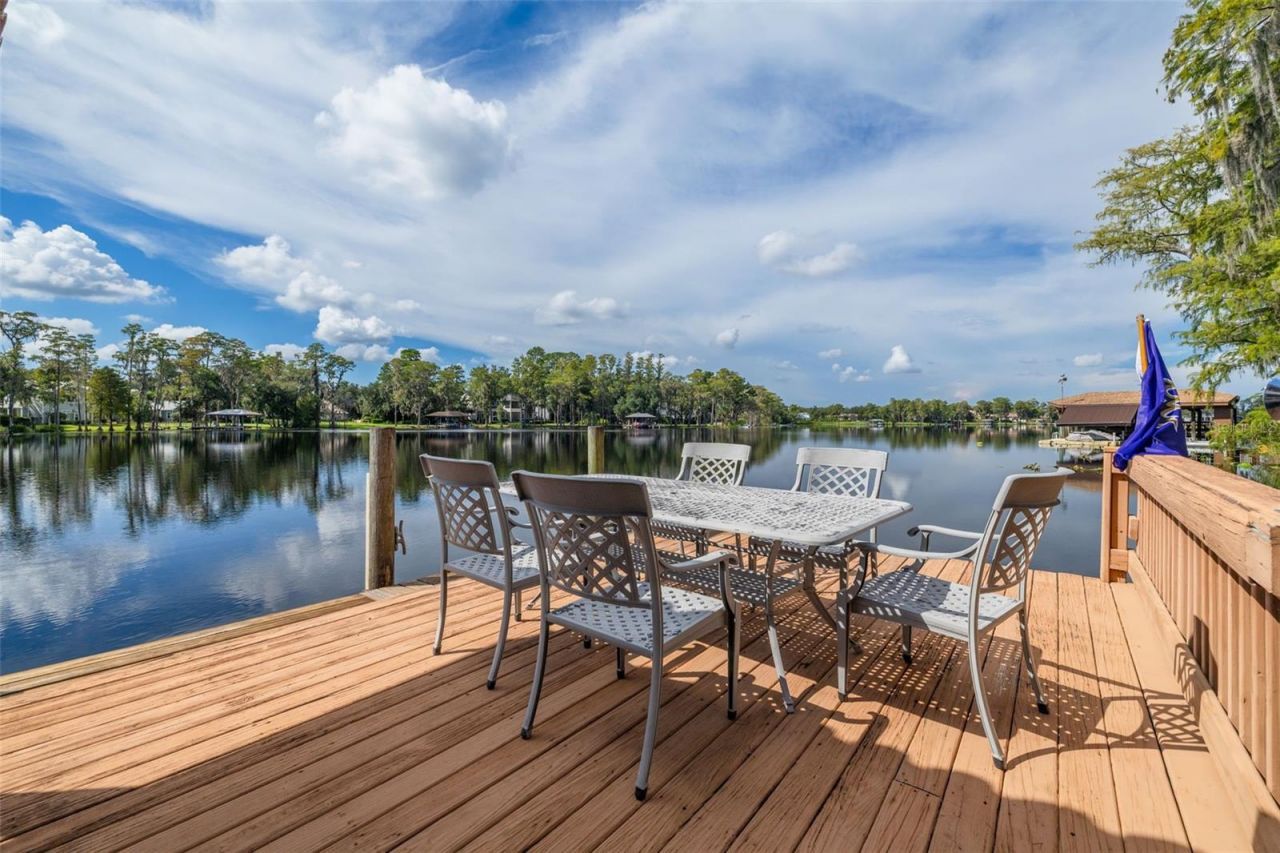 16203 Sentry Woods Court, Odessa, FL 33556 Photo
