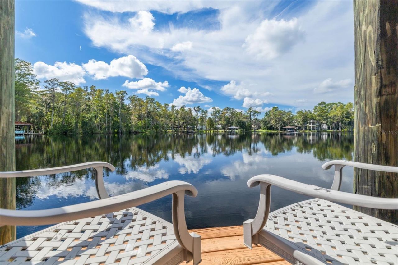 16203 Sentry Woods Court, Odessa, FL 33556 Photo