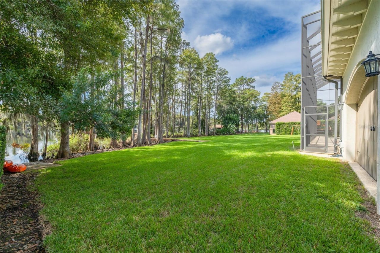 16203 Sentry Woods Court, Odessa, FL 33556 Photo