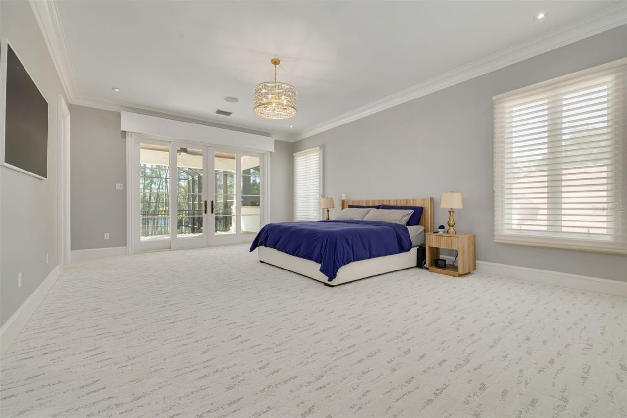 16203 Sentry Woods Court, Odessa, FL 33556 Photo