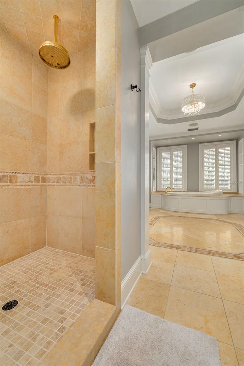 16203 Sentry Woods Court, Odessa, FL 33556 Photo