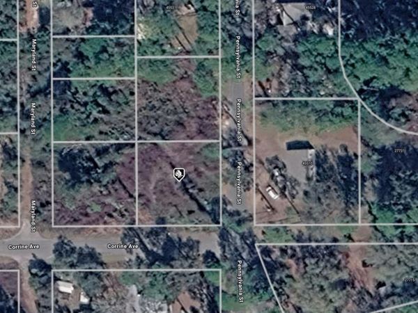 15-17-28-0200-014-01900 PENNSYLVANIA STREET , PAISLEY, FL 32767