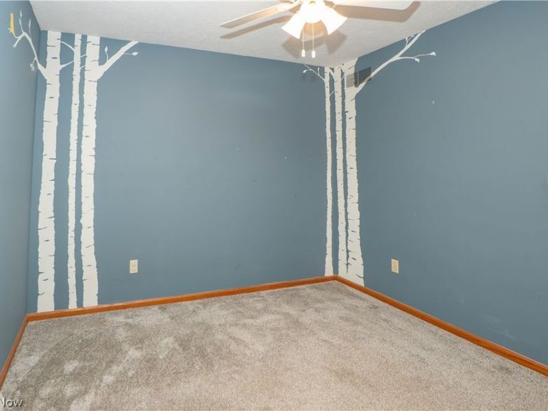 498 Herbert Road, Akron, OH 44312 Photo 36