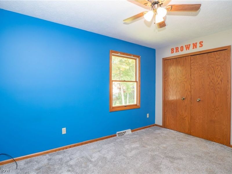 498 Herbert Road, Akron, OH 44312 Photo 40