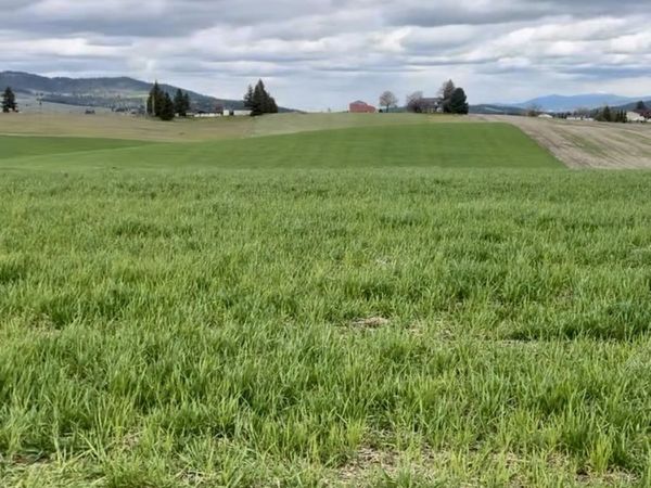 14906 S Madison Rd, Valleyford, WA 99036