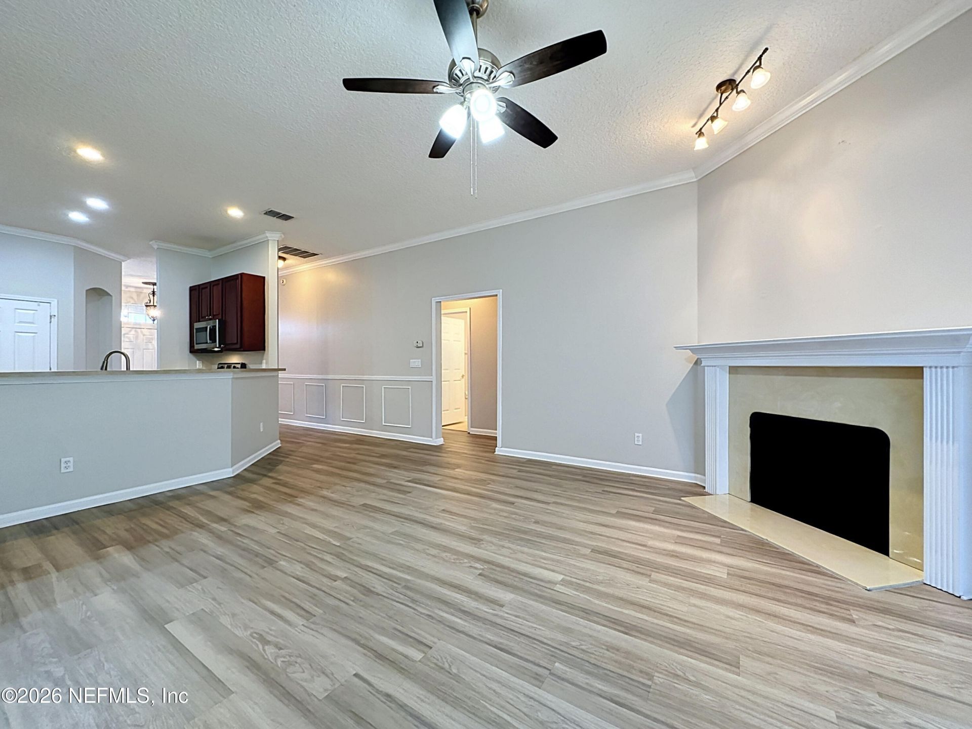3110 Wandering Oaks Drive, Orange Park, FL 32065 Photo