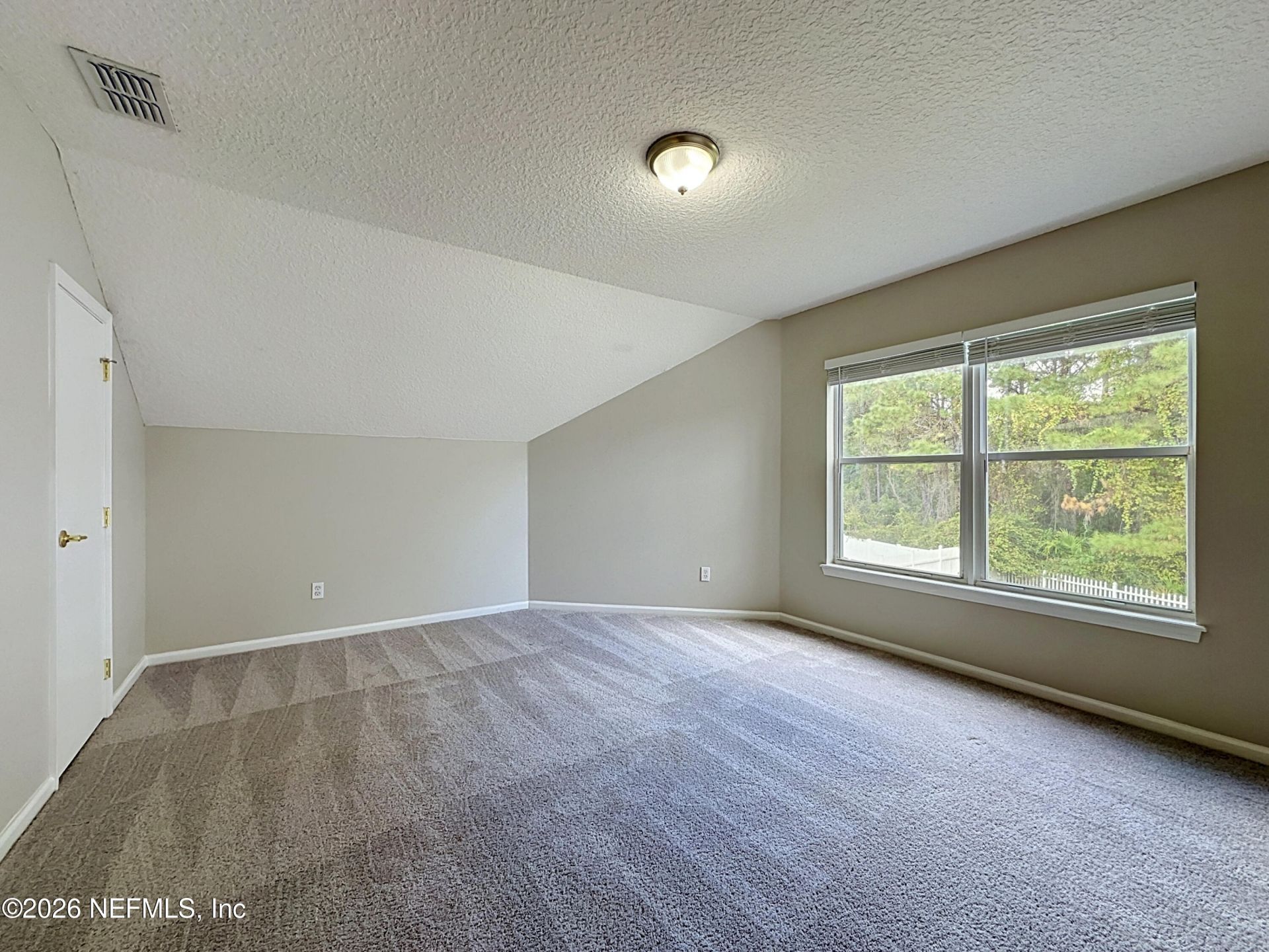 3110 Wandering Oaks Drive, Orange Park, FL 32065 Photo