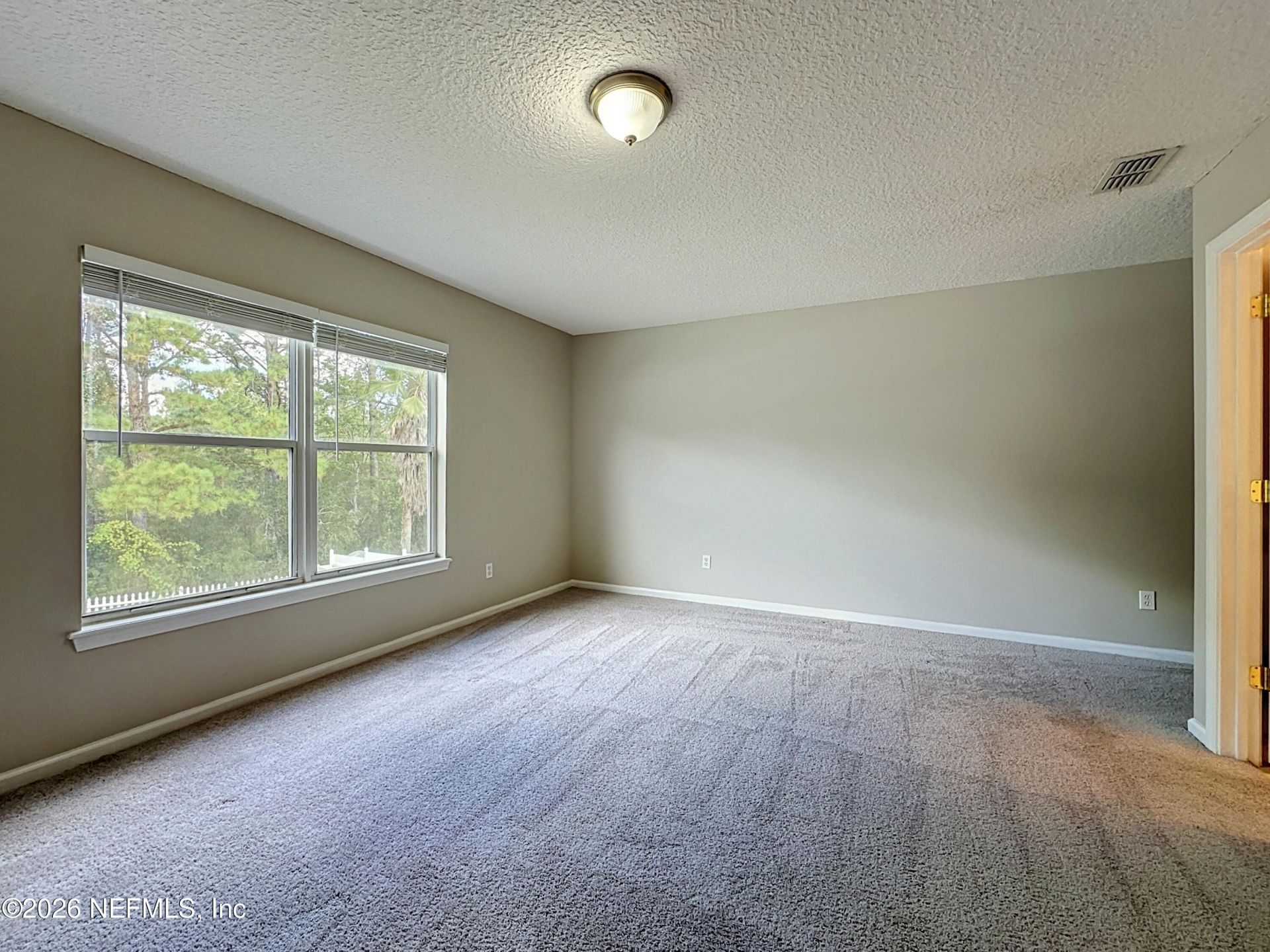 3110 Wandering Oaks Drive, Orange Park, FL 32065 Photo