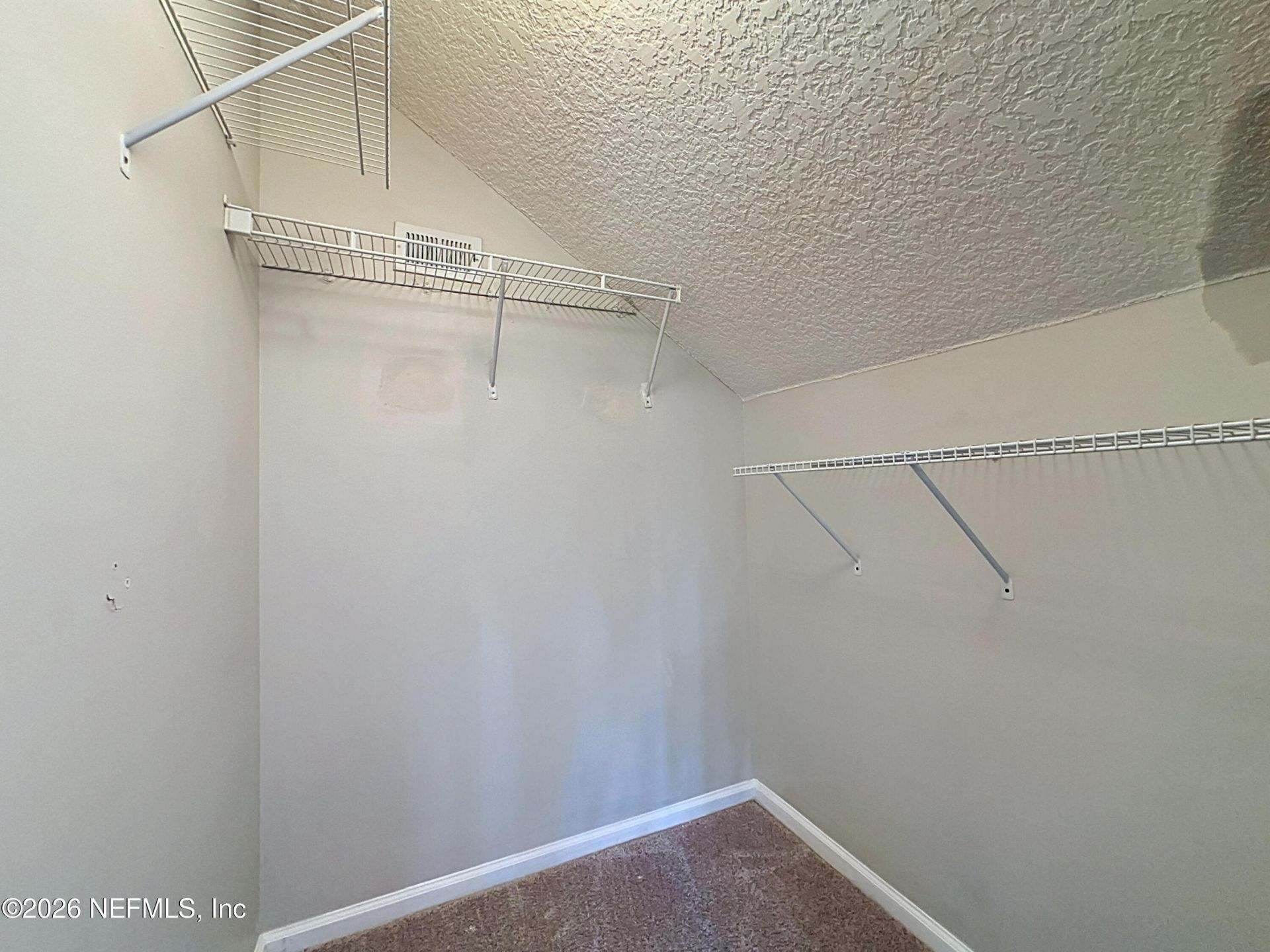 3110 Wandering Oaks Drive, Orange Park, FL 32065 Photo