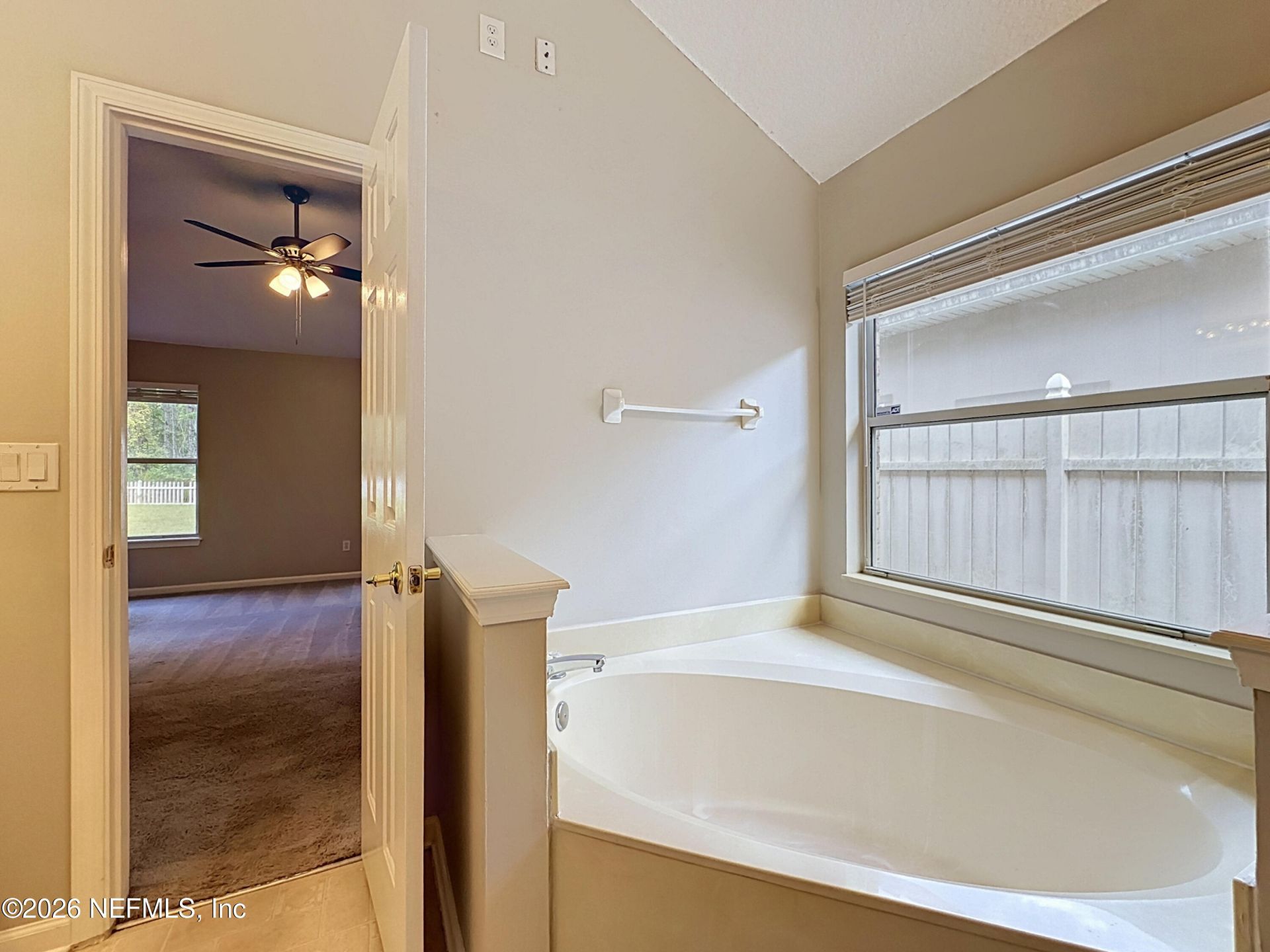 3110 Wandering Oaks Drive, Orange Park, FL 32065 Photo