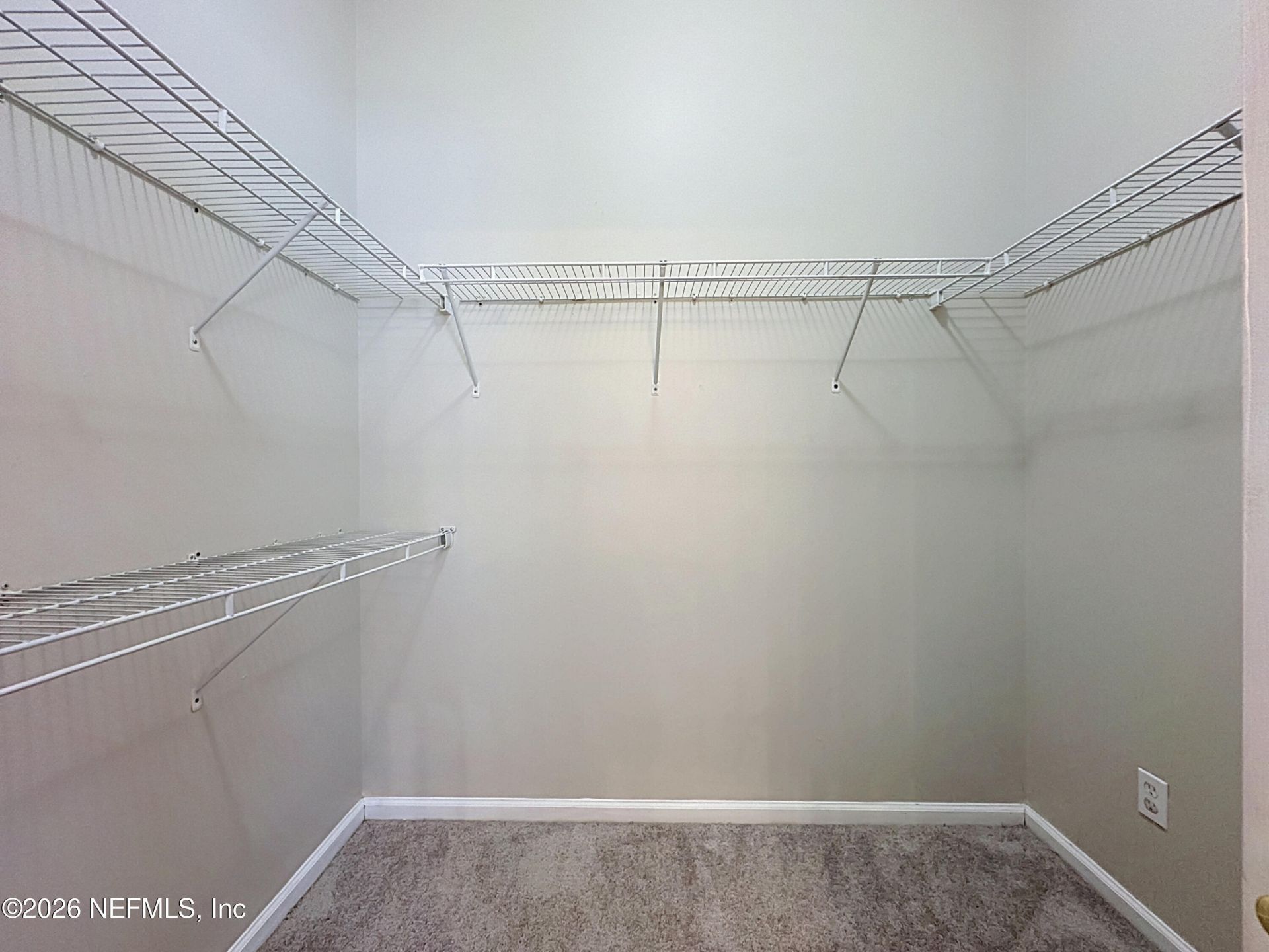 3110 Wandering Oaks Drive, Orange Park, FL 32065 Photo