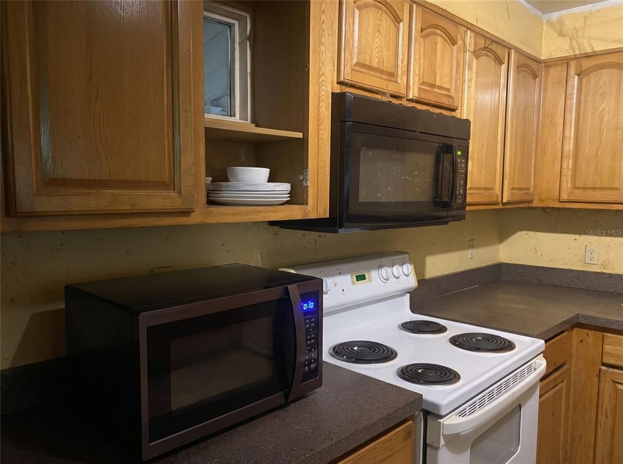 101 NE Schoolhouse Lane , Mayo, FL 32066 Photo