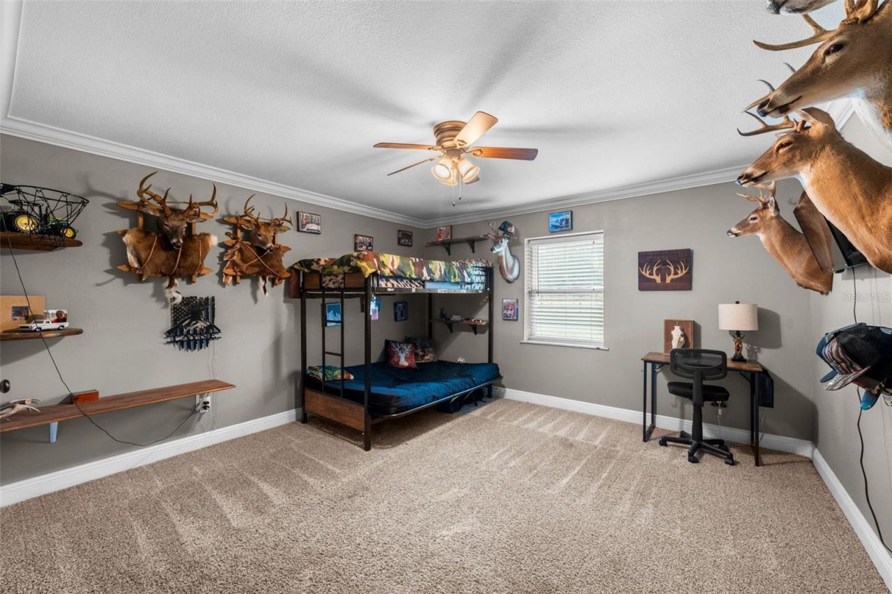 13680 NE 38th Avenue , Anthony, FL 32617 Photo