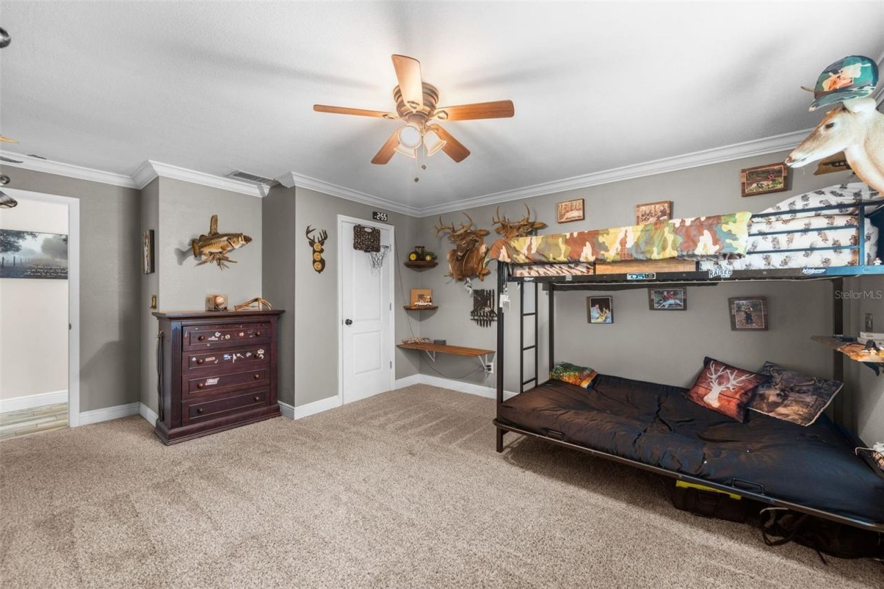 13680 NE 38th Avenue , Anthony, FL 32617 Photo