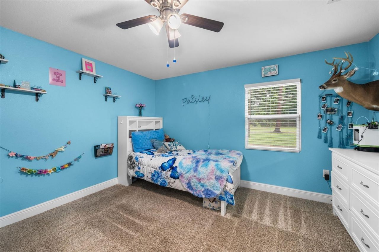 13680 NE 38th Avenue , Anthony, FL 32617 Photo