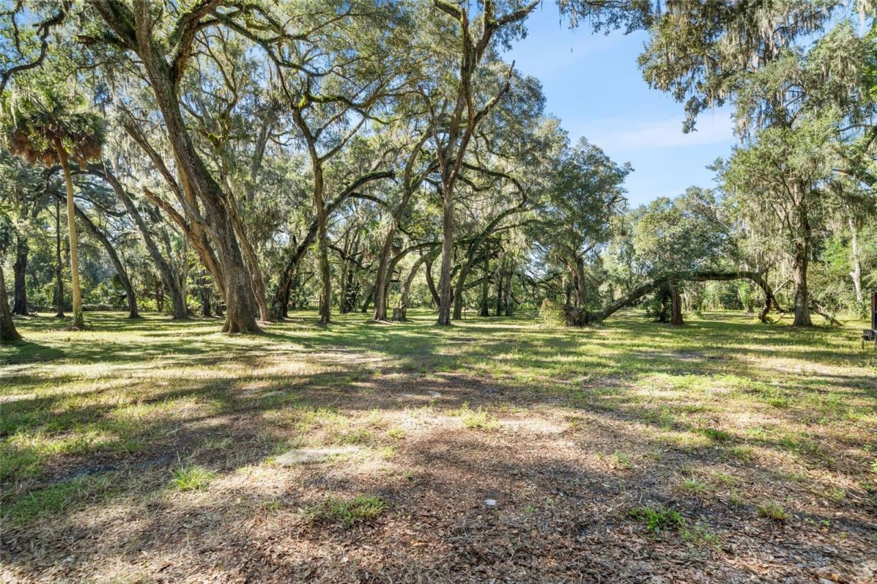 13680 NE 38th Avenue , Anthony, FL 32617 Photo