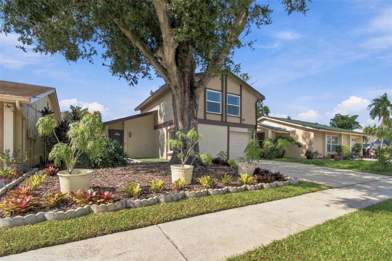 4830 Grove Point Drive , Tampa, FL 33624 Photo