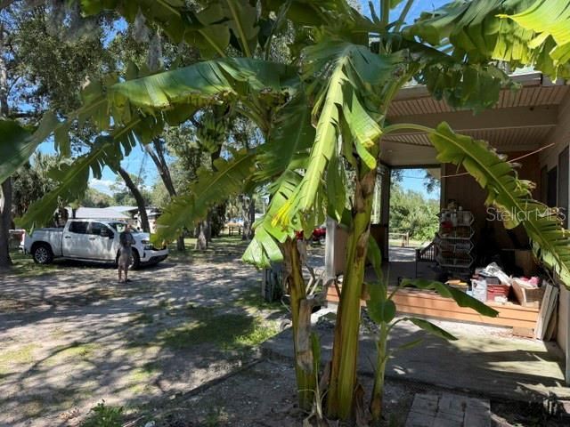 216 Castillo Road, Ruskin, FL 33570 Photo